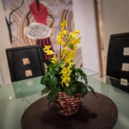 Mokka Guest house